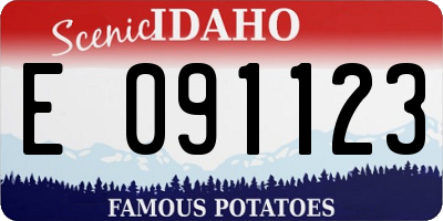 ID license plate E091123