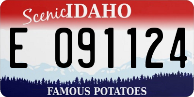 ID license plate E091124