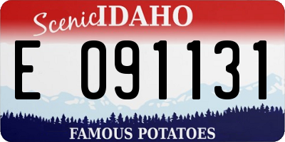 ID license plate E091131