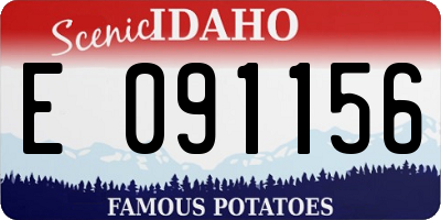 ID license plate E091156