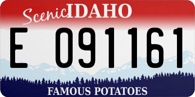 ID license plate E091161