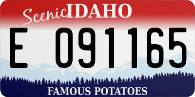 ID license plate E091165