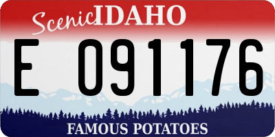 ID license plate E091176