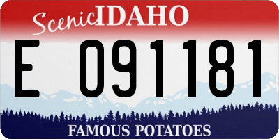 ID license plate E091181