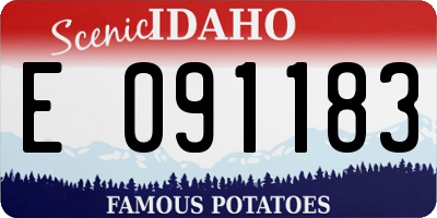 ID license plate E091183