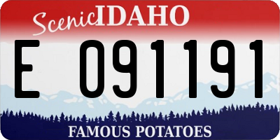 ID license plate E091191