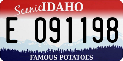 ID license plate E091198