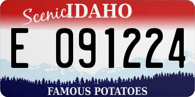 ID license plate E091224