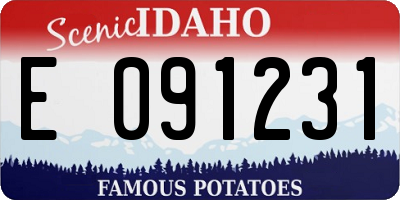 ID license plate E091231