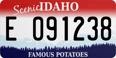 ID license plate E091238