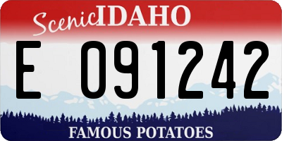 ID license plate E091242