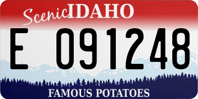 ID license plate E091248