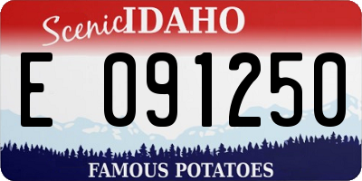 ID license plate E091250