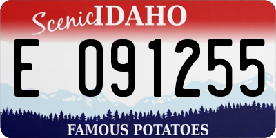 ID license plate E091255