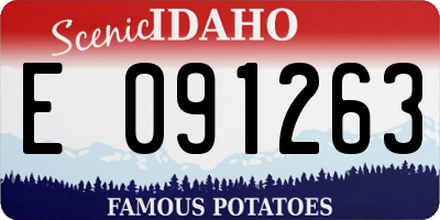 ID license plate E091263
