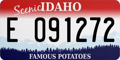 ID license plate E091272