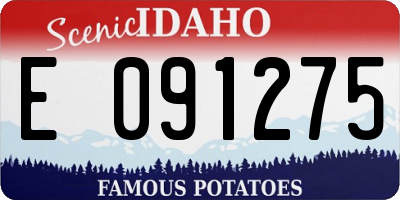 ID license plate E091275