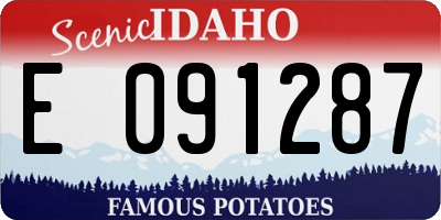 ID license plate E091287
