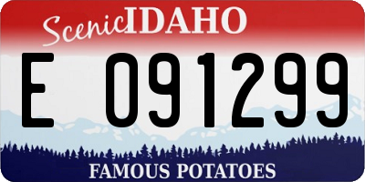 ID license plate E091299