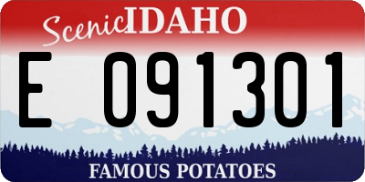 ID license plate E091301
