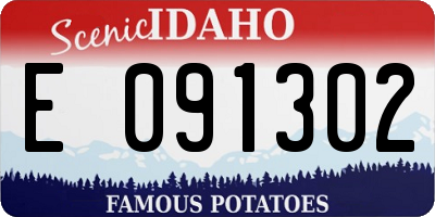 ID license plate E091302