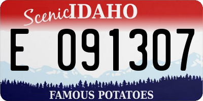 ID license plate E091307