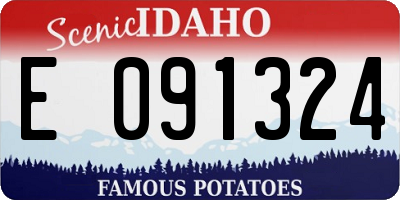 ID license plate E091324