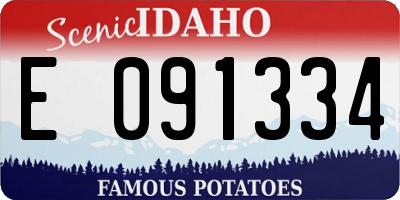 ID license plate E091334