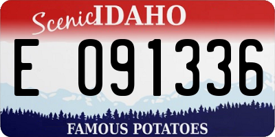 ID license plate E091336