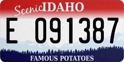 ID license plate E091387
