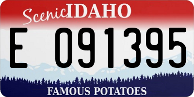 ID license plate E091395