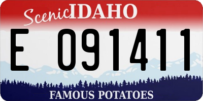 ID license plate E091411