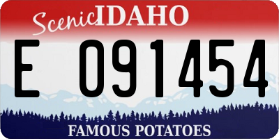 ID license plate E091454