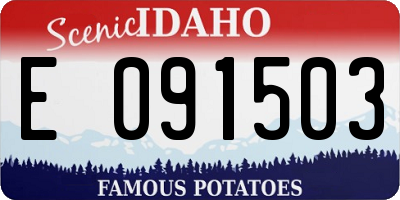 ID license plate E091503