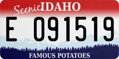 ID license plate E091519
