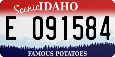 ID license plate E091584