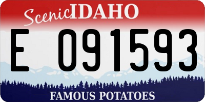 ID license plate E091593