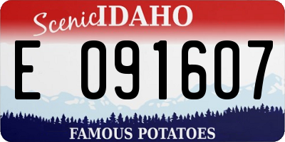 ID license plate E091607
