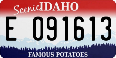 ID license plate E091613
