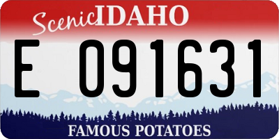 ID license plate E091631