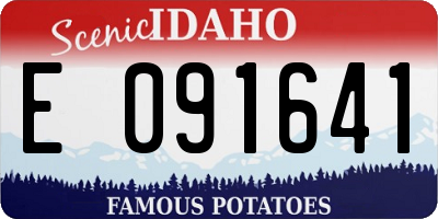 ID license plate E091641