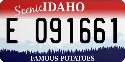 ID license plate E091661