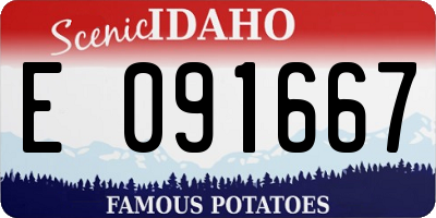 ID license plate E091667