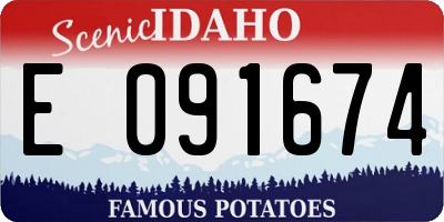 ID license plate E091674