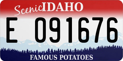 ID license plate E091676