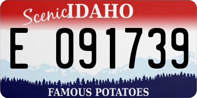 ID license plate E091739