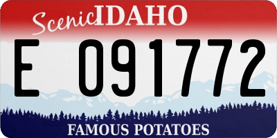 ID license plate E091772