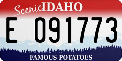 ID license plate E091773