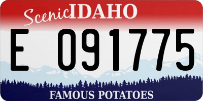 ID license plate E091775