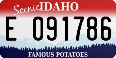 ID license plate E091786